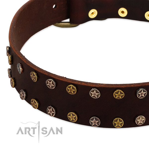 Daily walking leather dog collar with top notch decorations