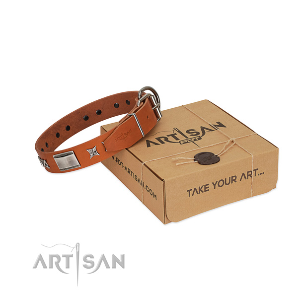 Quality full grain natural leather dog collar with strong fittings