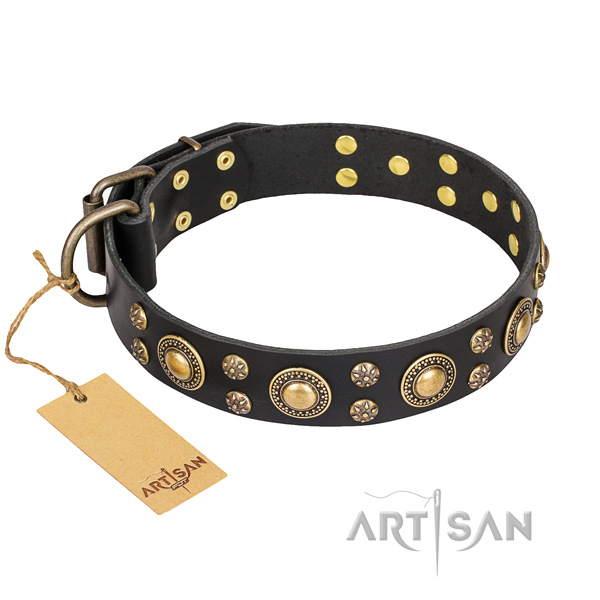 Everyday use dog collar of reliable full grain genuine leather with embellishments