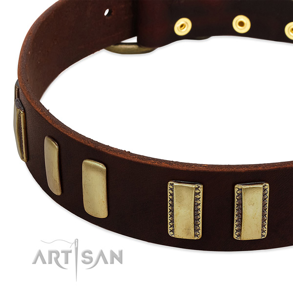Leather dog collar with corrosion proof buckle for stylish walking