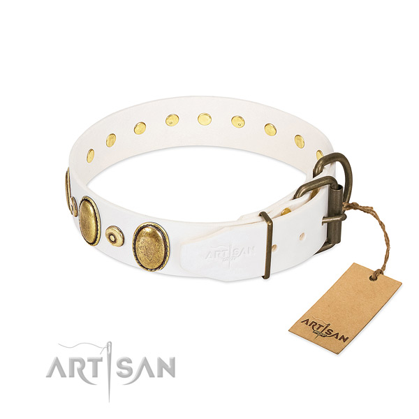 Corrosion proof adornments on gentle to touch leather dog collar