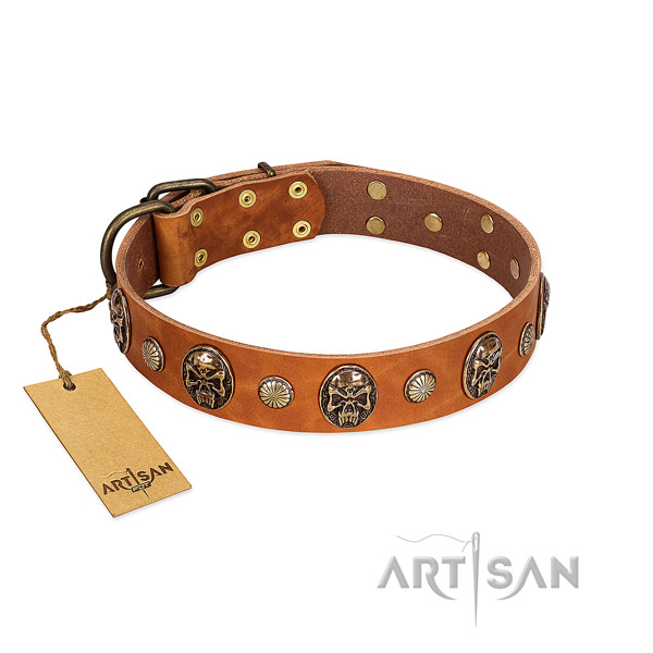 Easy to adjust leather dog collar for everyday use