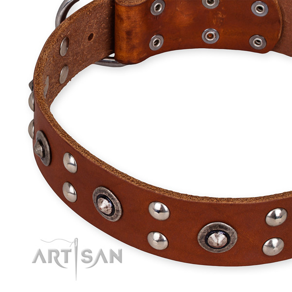 Full grain natural leather collar with rust-proof traditional buckle for your impressive doggie