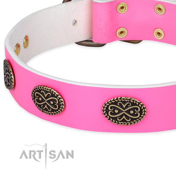 Natural genuine leather dog collar with embellishments for daily walking