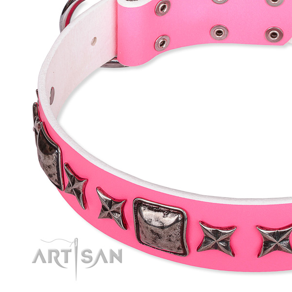 Fancy walking adorned dog collar of strong full grain leather