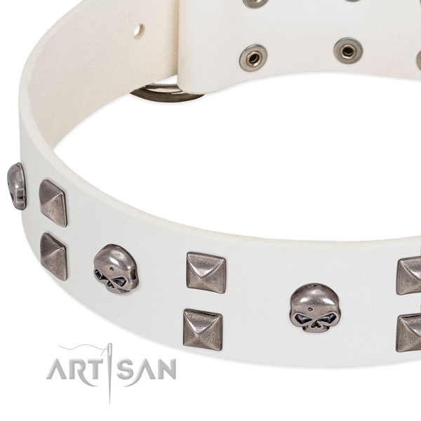 Full grain leather collar with stylish design adornments for your doggie