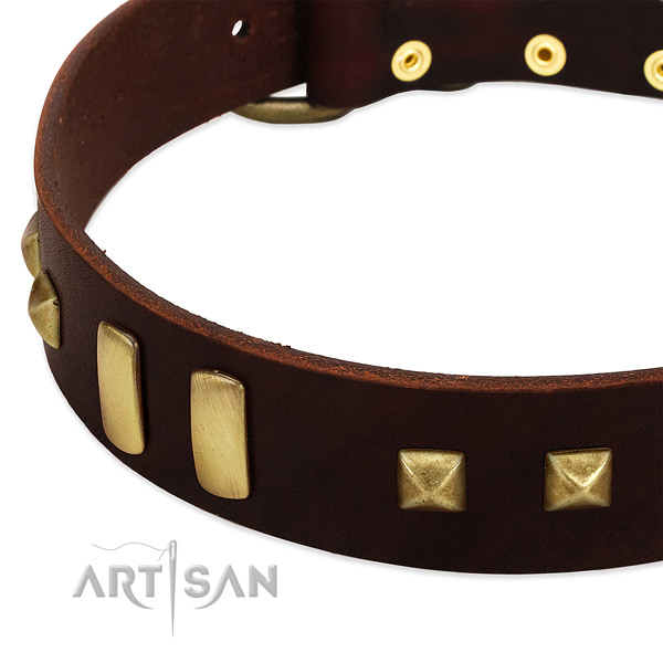 Reliable full grain genuine leather dog collar with embellishments for daily use