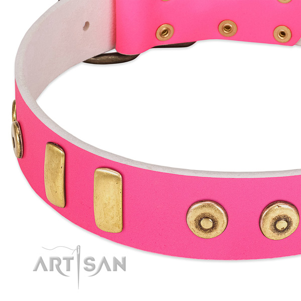 Full grain natural leather dog collar with studs for stylish walking