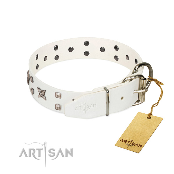 Top rate genuine leather dog collar with remarkable studs
