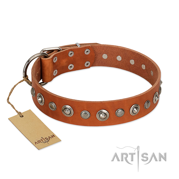 High quality natural leather dog collar with top notch studs