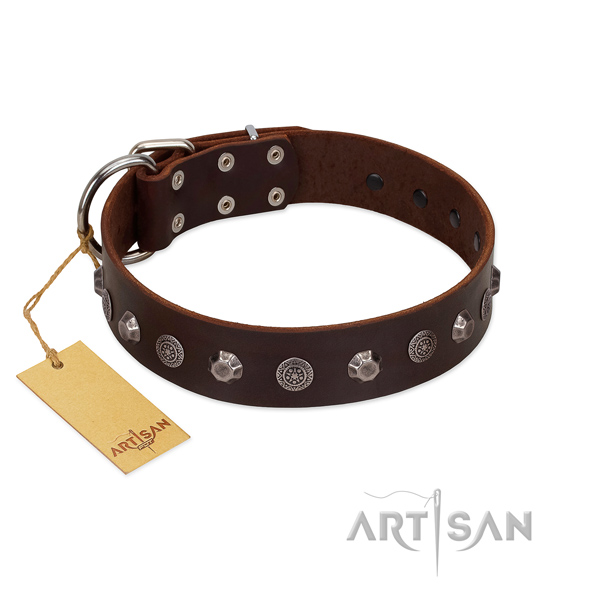 Handmade full grain natural leather dog collar