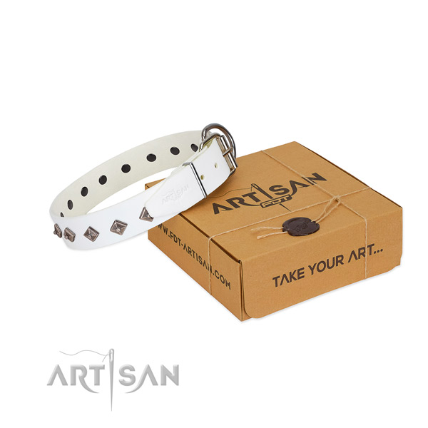 Fashionable adornments on genuine leather dog collar for everyday use
