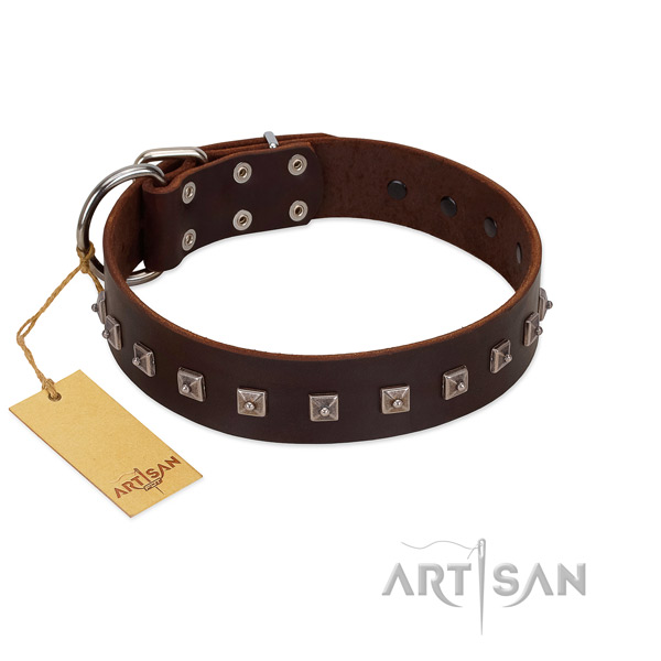 Extraordinary embellished natural leather dog collar