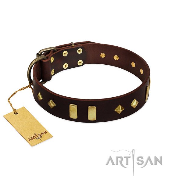 Full grain leather dog collar with reliable fittings for everyday use