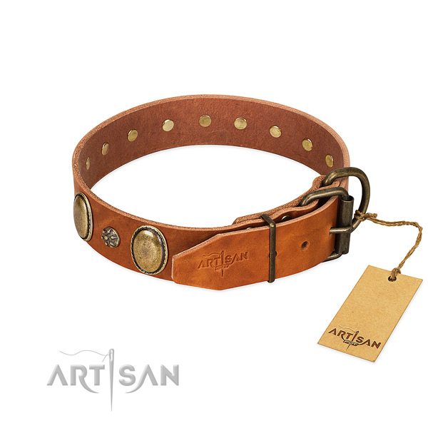 Walking soft to touch full grain natural leather dog collar