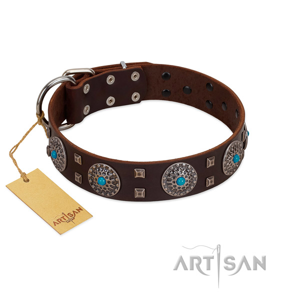 Comfy wearing leather dog collar with stylish design studs