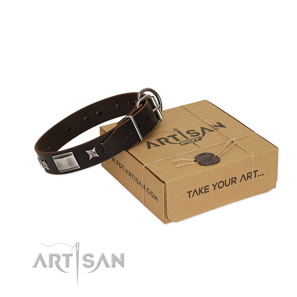 Exceptional collar of natural leather for your handsome dog