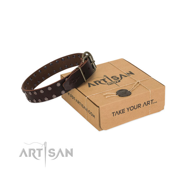 Flexible full grain leather dog collar with adornments for your lovely pet