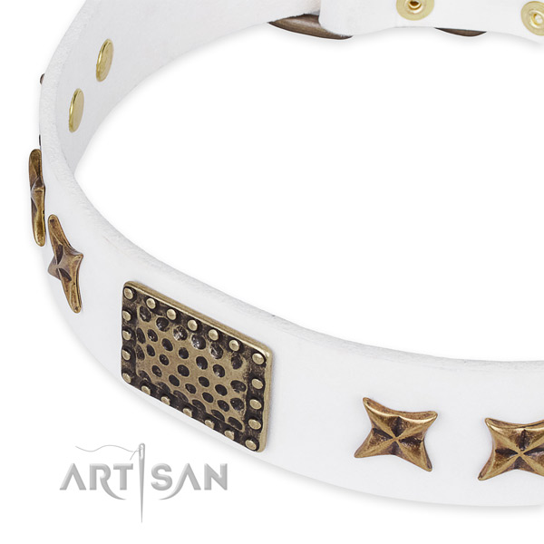 Full grain genuine leather collar with corrosion resistant fittings for your attractive pet