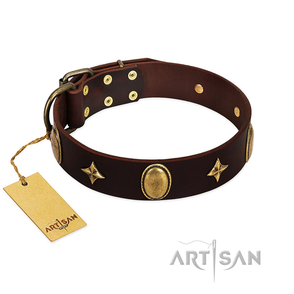 Top notch full grain leather dog collar with rust resistant adornments