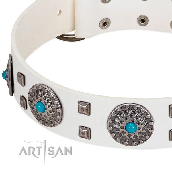 Top notch full grain leather dog collar with top notch decorations