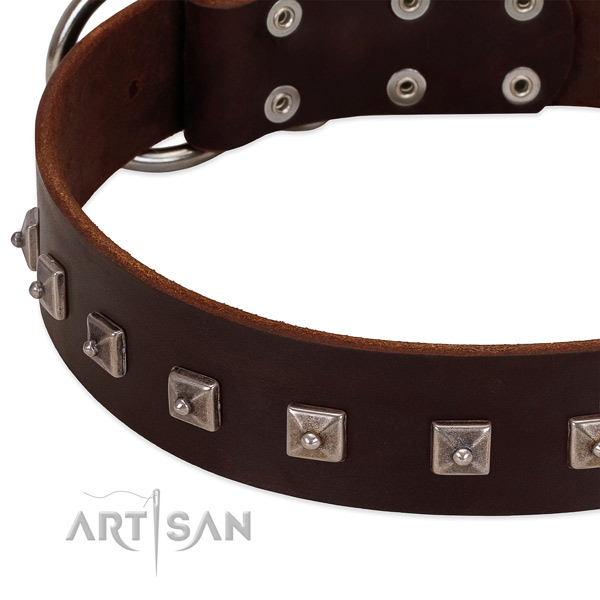 Soft full grain natural leather dog collar with stunning embellishments
