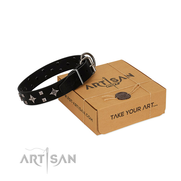 Impressive full grain genuine leather collar for your four-legged friend walking in style
