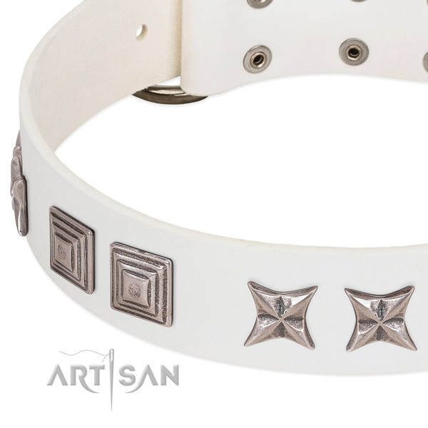 Everyday walking full grain leather dog collar with extraordinary adornments