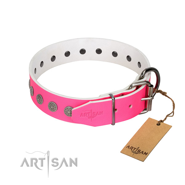 Trendy decorations on full grain leather collar for fancy walking your canine