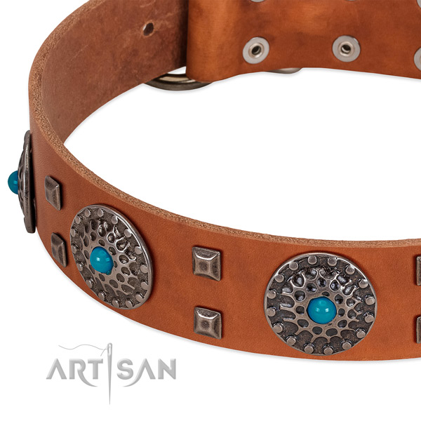 Top notch full grain genuine leather dog collar with awesome adornments