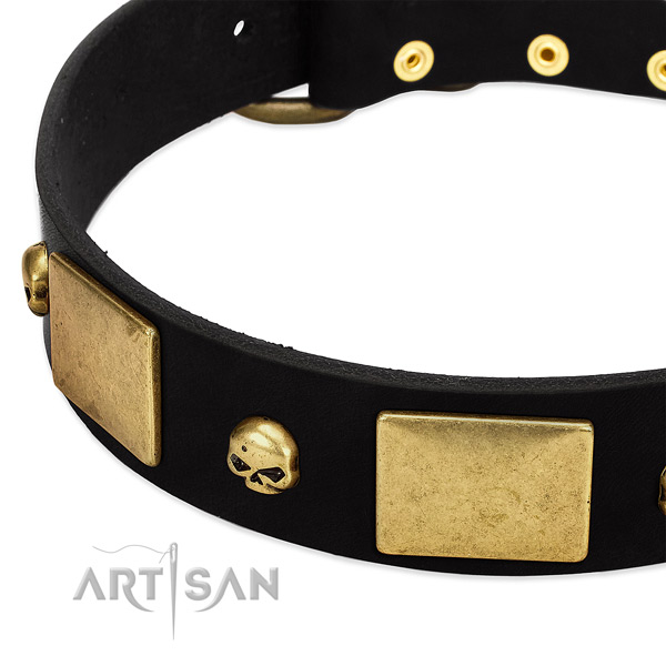 Perfect fit full grain leather collar for your impressive dog