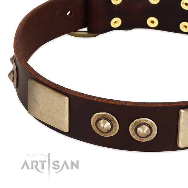 Rust resistant decorations on full grain natural leather dog collar for your four-legged friend