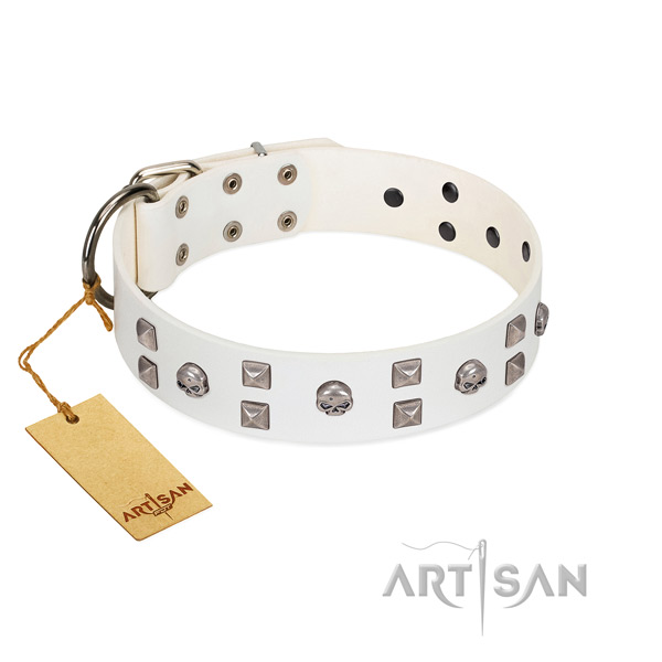 Unique full grain natural leather dog collar with embellishments