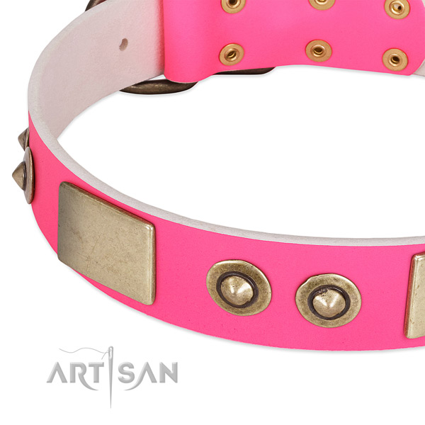 Durable embellishments on full grain natural leather dog collar for your four-legged friend