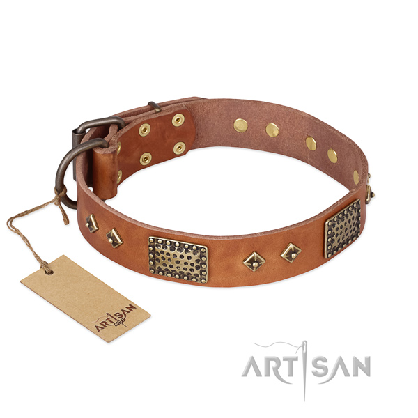 Awesome full grain natural leather dog collar for fancy walking