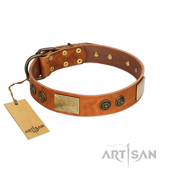 Best quality full grain leather dog collar for comfortable wearing