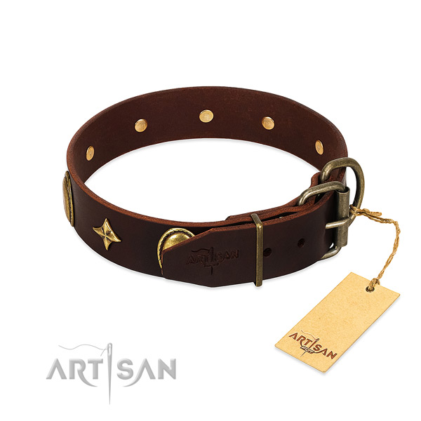 Quality full grain genuine leather dog collar with unique adornments