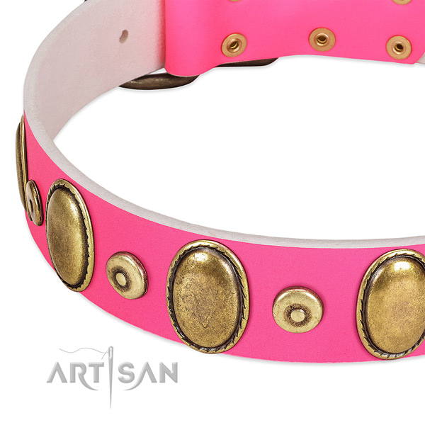 Flexible natural leather collar with corrosion proof decorations for your doggie