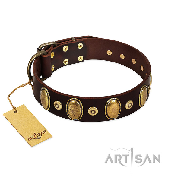 Daily use dog collar of full grain natural leather