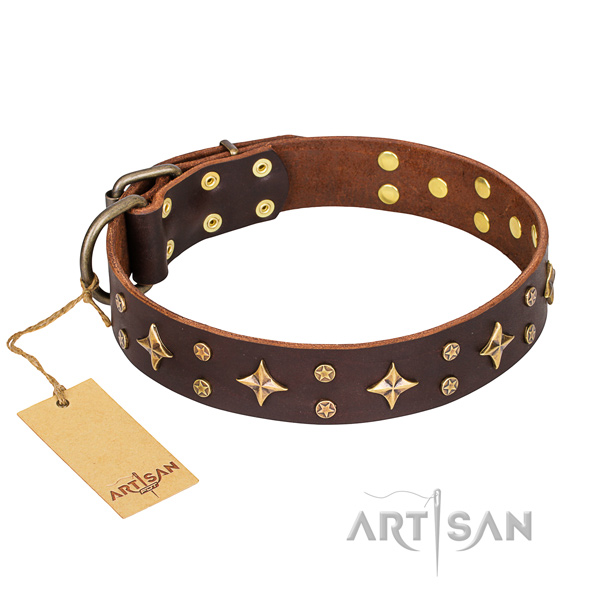 Stylish walking dog collar of reliable full grain genuine leather with adornments
