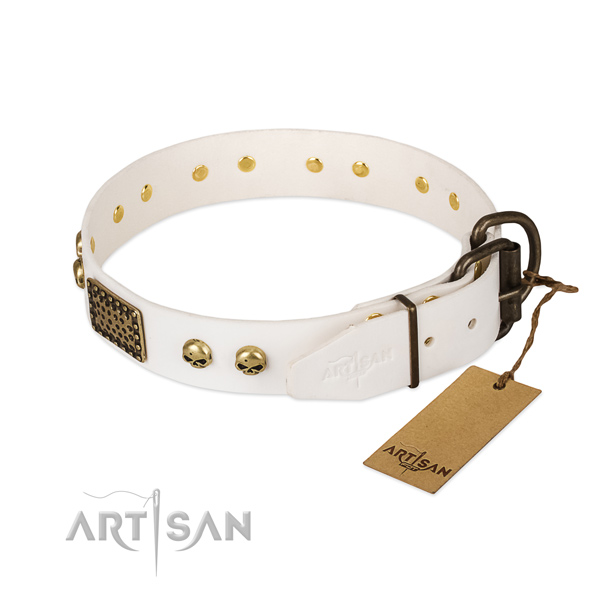 Adjustable leather dog collar for everyday walking your dog