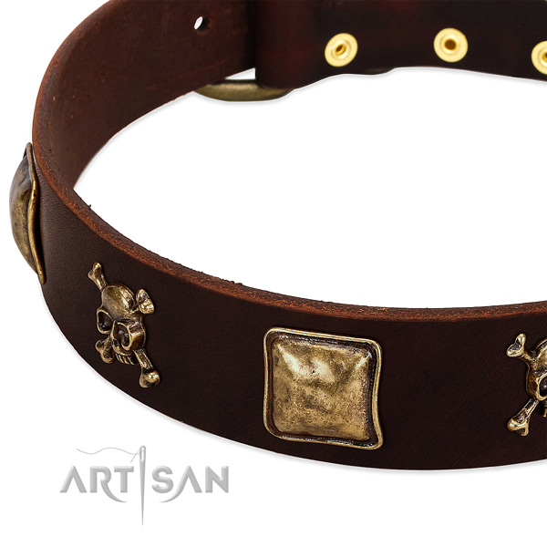 Quality genuine leather dog collar with impressive embellishments