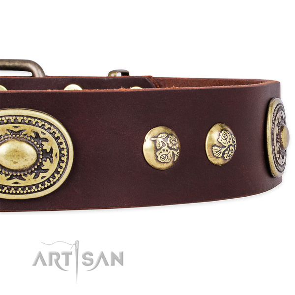 Decorated genuine leather collar for your handsome dog