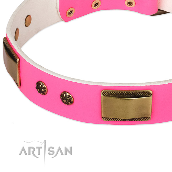 Strong fittings on full grain natural leather dog collar for your dog