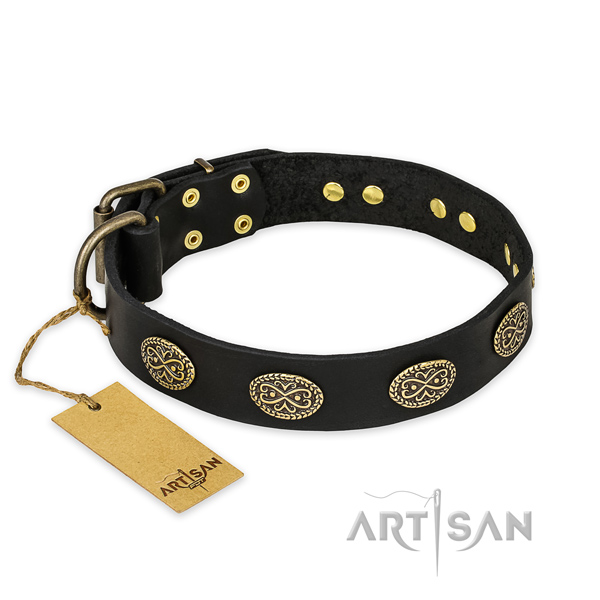 Incredible leather dog collar with strong hardware