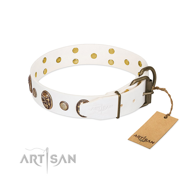 Durable hardware on genuine leather collar for daily walking your four-legged friend