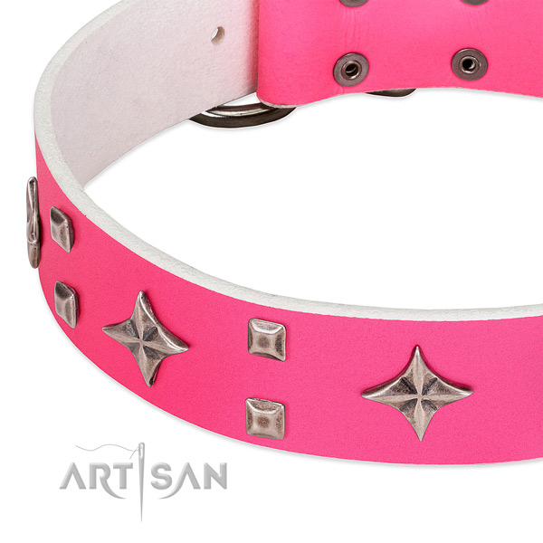 Easy wearing soft to touch full grain leather dog collar with embellishments
