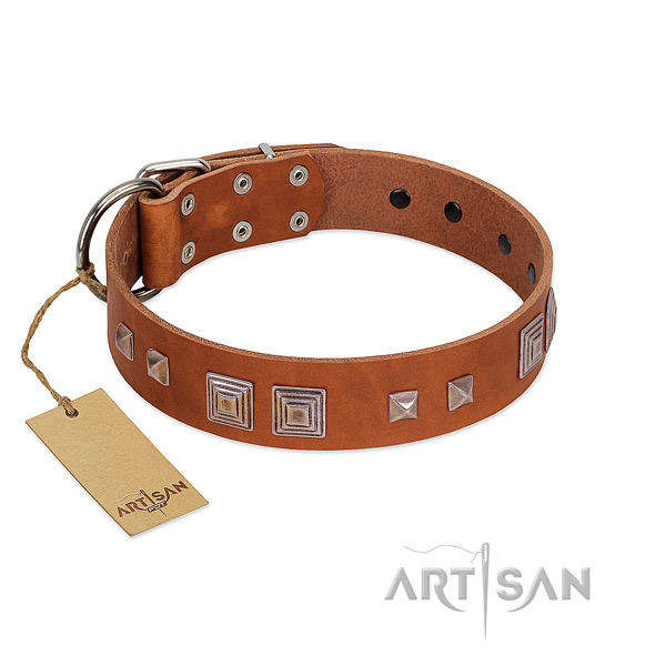 Full grain natural leather dog collar of gentle to touch material with fashionable adornments