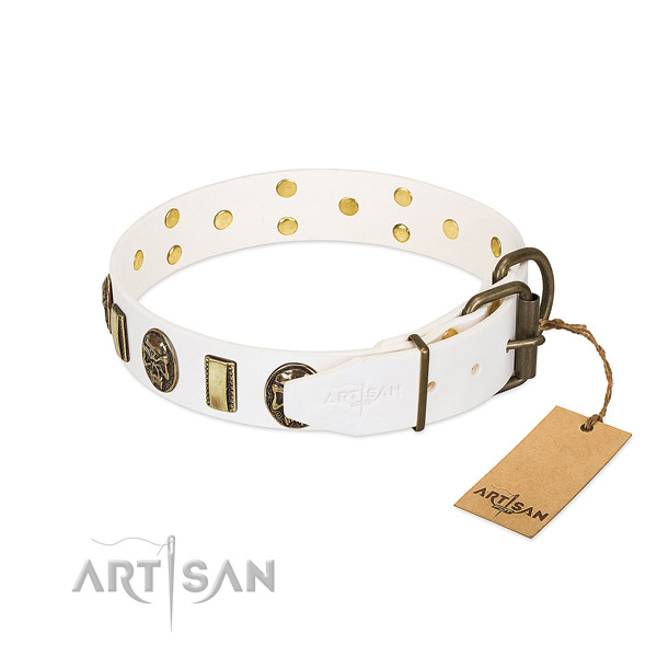 Strong fittings on genuine leather collar for daily walking your four-legged friend