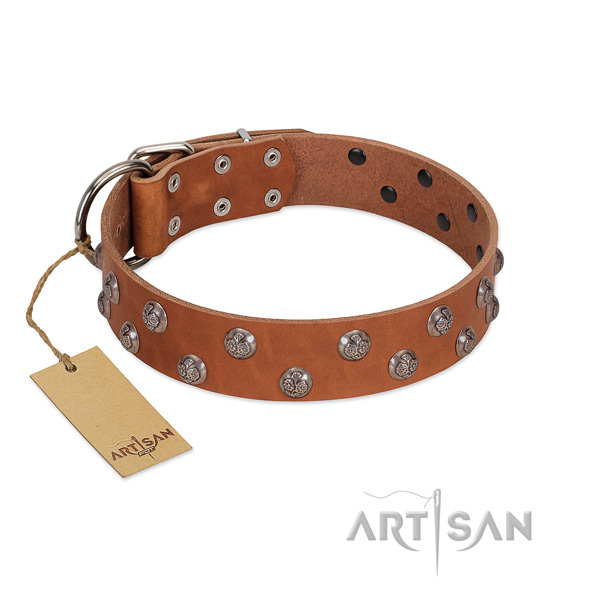 Fine quality leather dog collar with corrosion resistant hardware